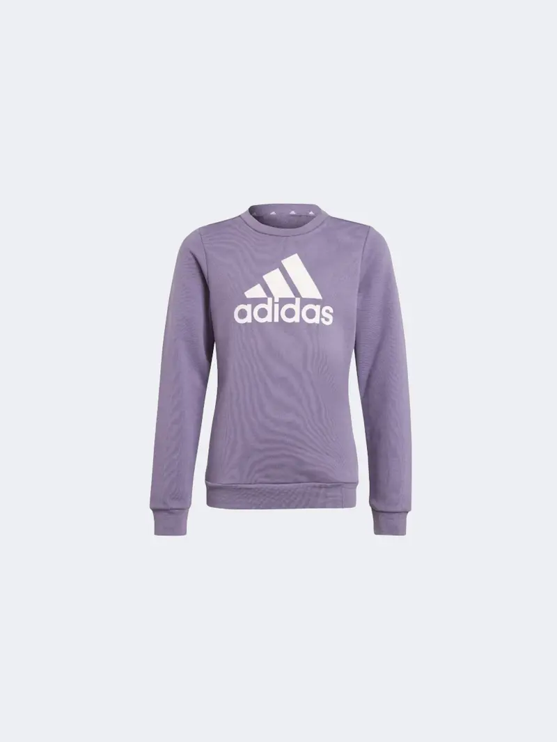 Adidas Essentials Big Logo Sweatshirt For Girls – Shadow Violet & Pink Activewear 1