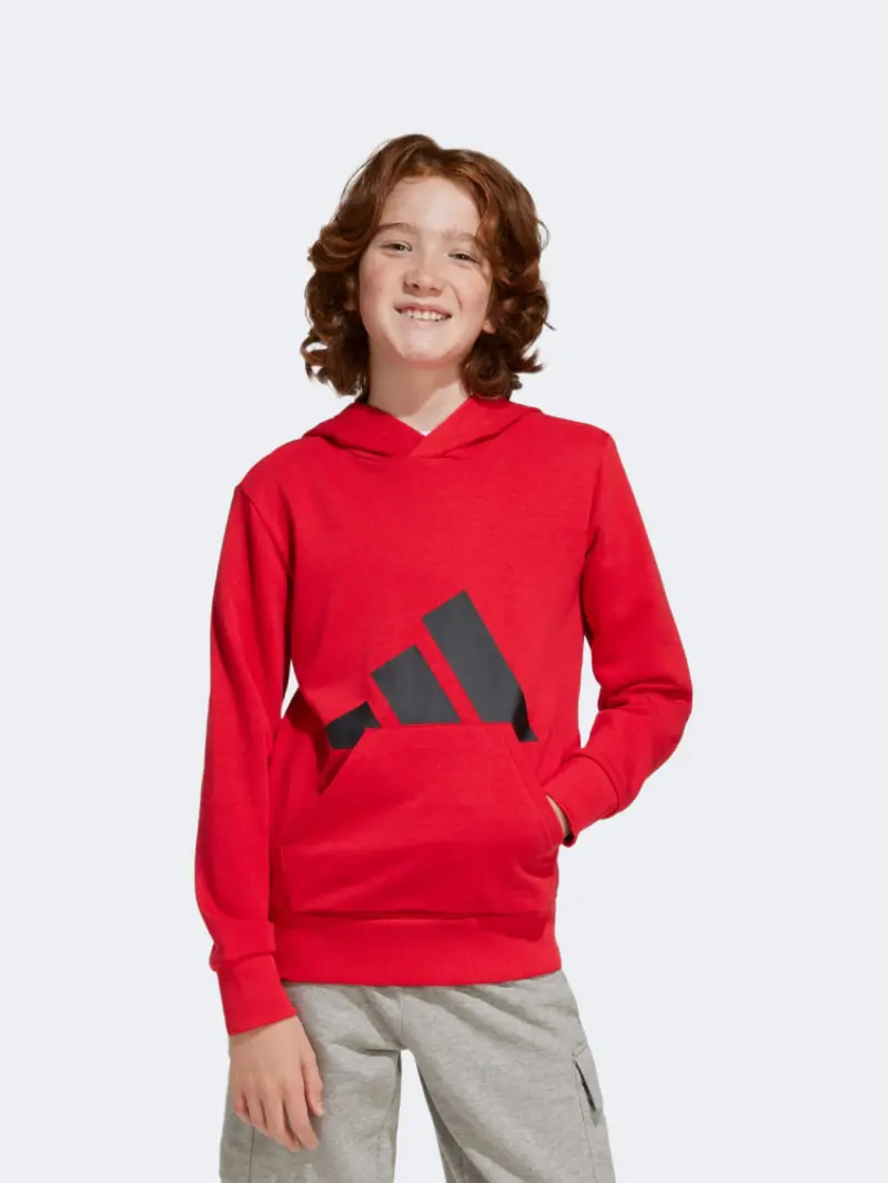Adidas Essentials Boys' Pure Ruby And Black Hoodie 1