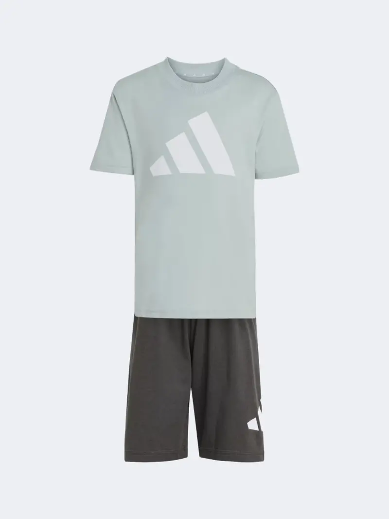 Adidas Little Boys' Essentials Set – Wonder Sage & White 1