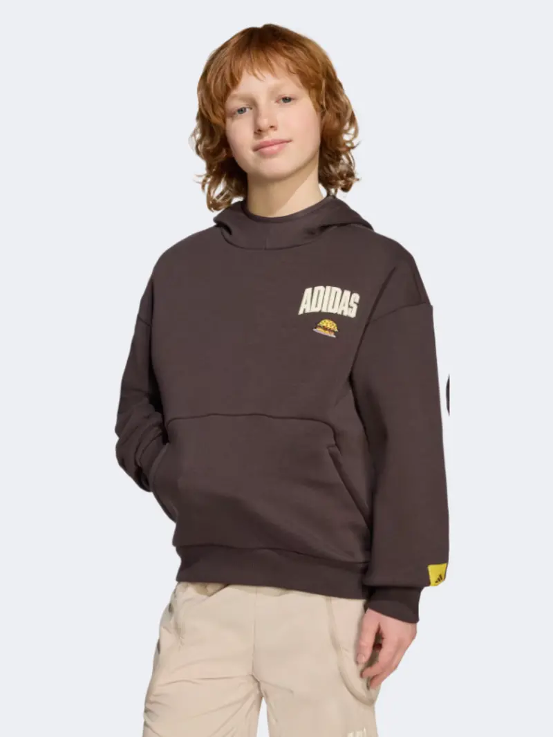 Adidas The Simpsons Boys' Hoodie – Night Brown 1