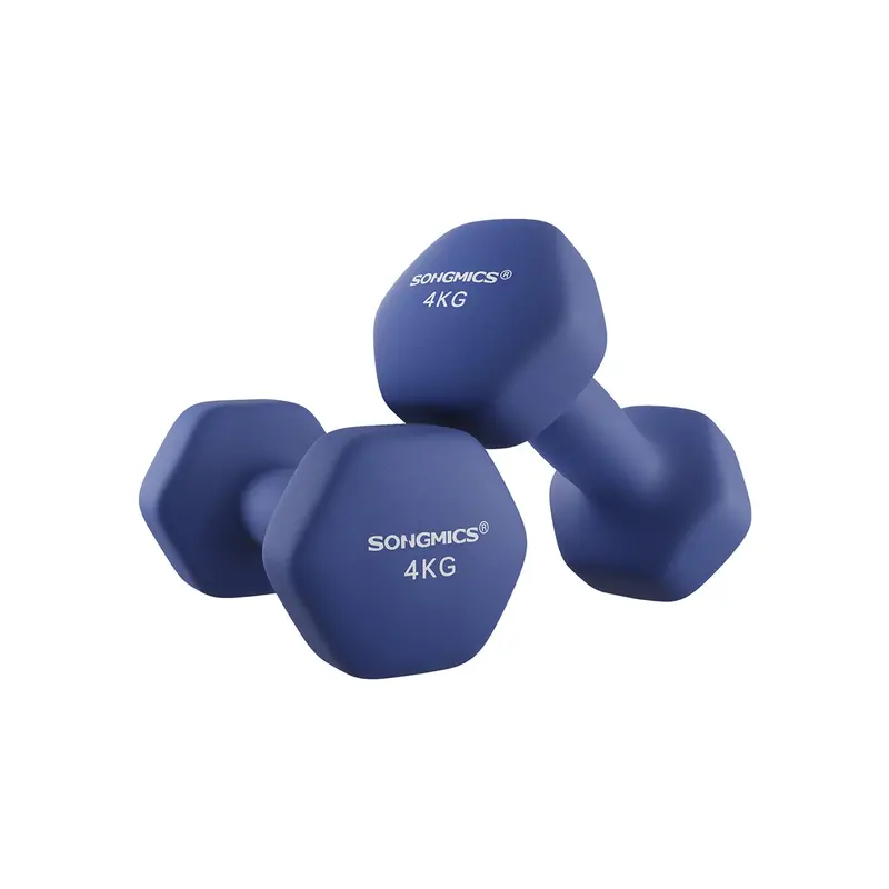 Blue Hexagonal Dumbbell Set – 4 Kg Per Dumbbell For Home Fitness Training 1