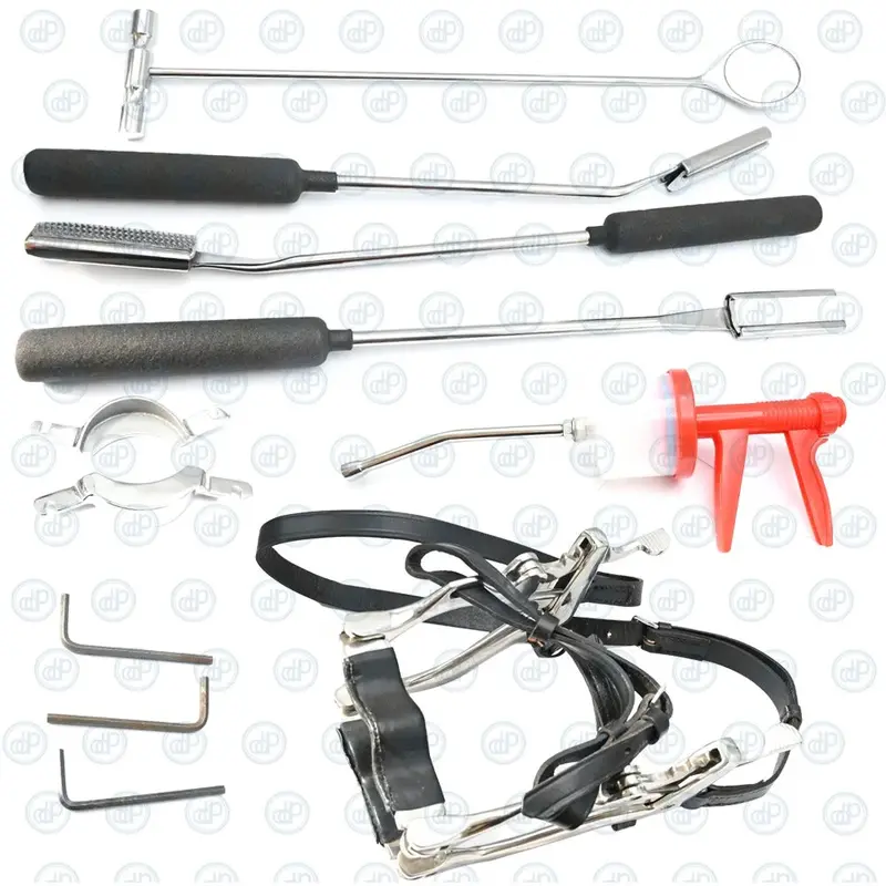 Equine Dental Float Kit — Veterinary Hand Floats, Mouth Speculum, And Gag For Safe Teeth Maintenance 1
