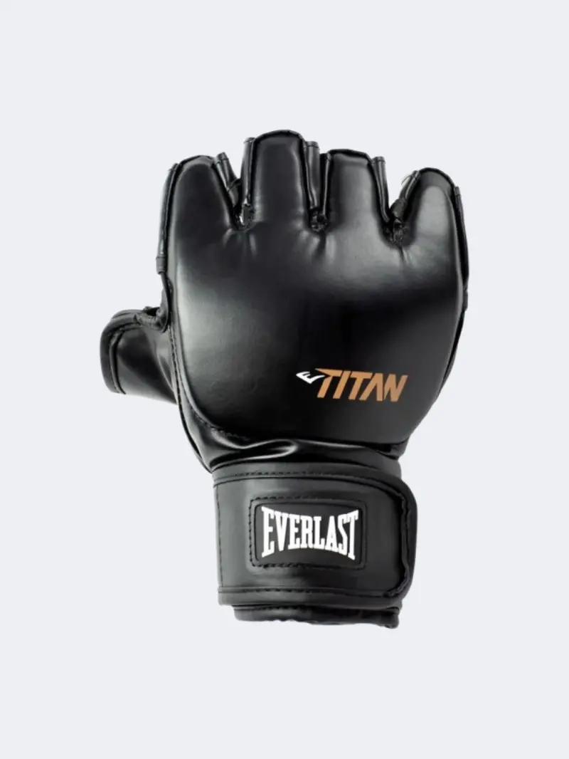 Everlast Titan Boxing Gloves – Black & Brown Leather 1