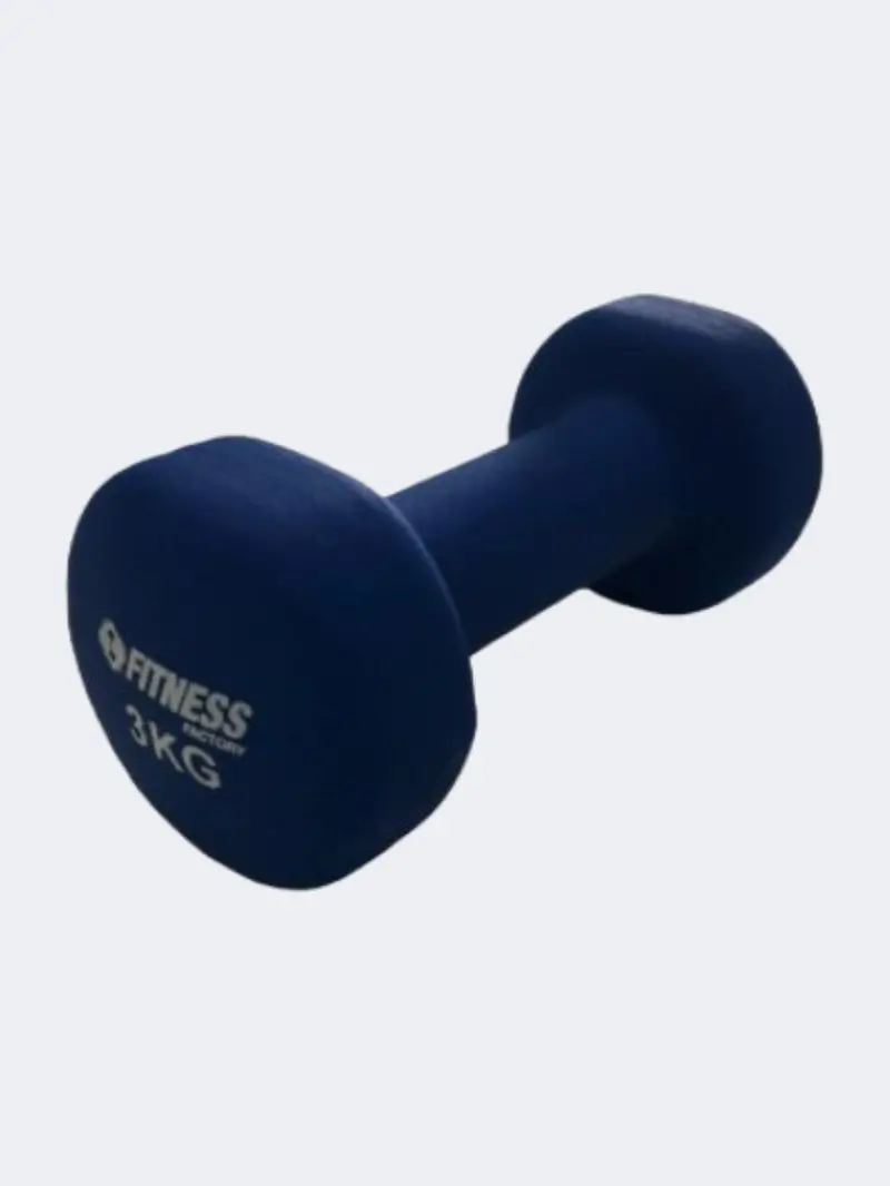 Fitness Factory 3 Kg Neoprene Dumbbell – Unisex Blue Weight 1