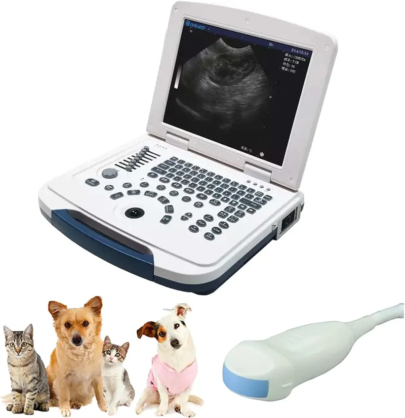 Laptop-Compatible Portable Vet Ultrasound Mum1231: B-Mode Scanner With Probes For Rabbits, Sheep & Pets 1
