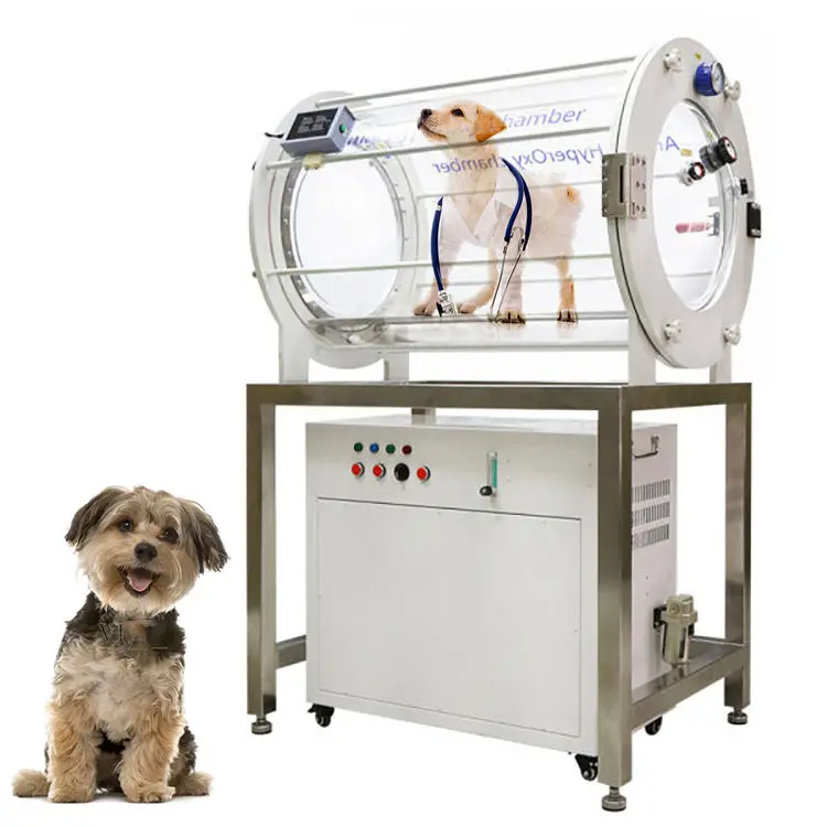 Pet-Specific Hyperbaric Oxygen Chamber — Compact, Safe Therapy Solution For Canine And Feline Care 1