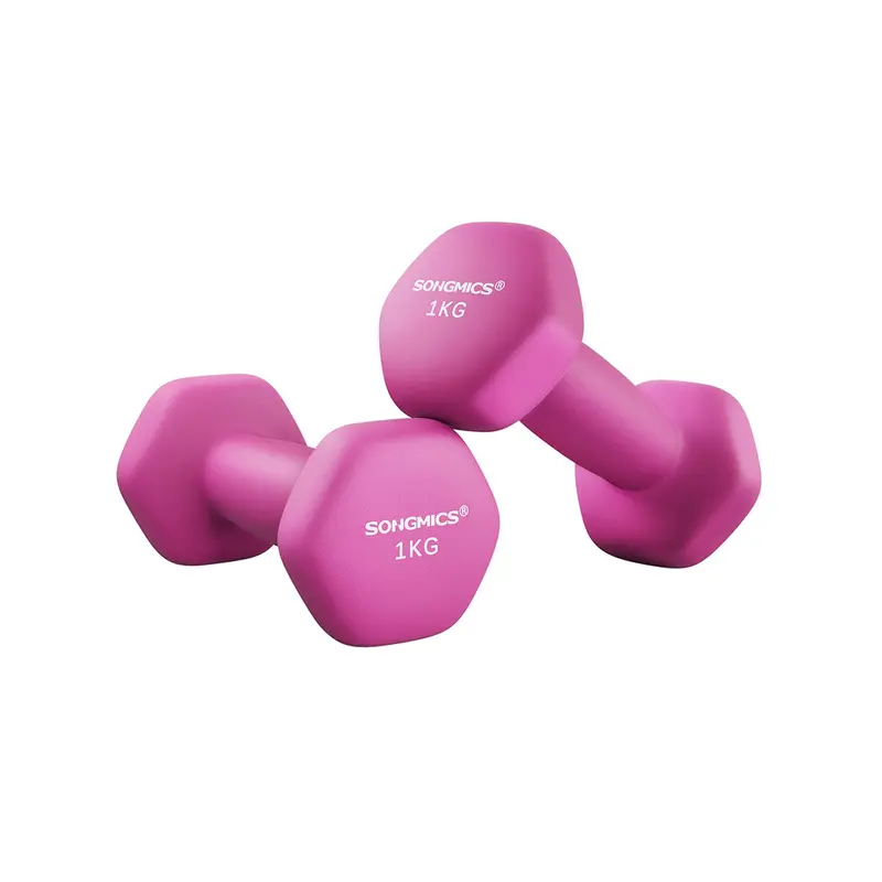 Pink Hex Dumbbell Set – Steel Weight Pair Ideal For Beginners & Home Fitness Routines 1
