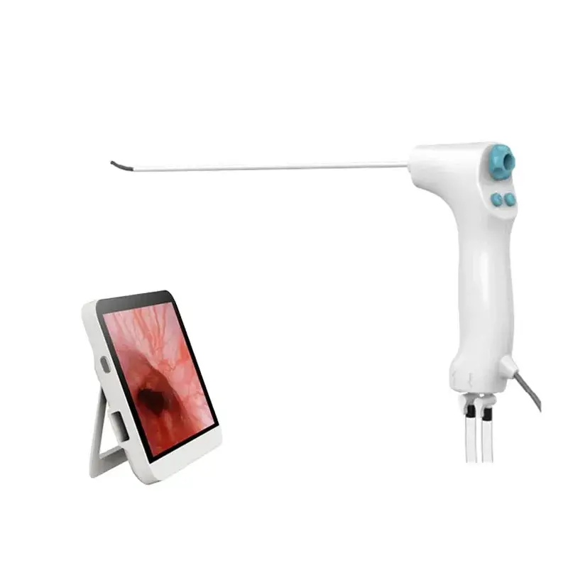 Single-Use Digital Flexible Veterinary Hysteroscope For Minimally Invasive Exams 1