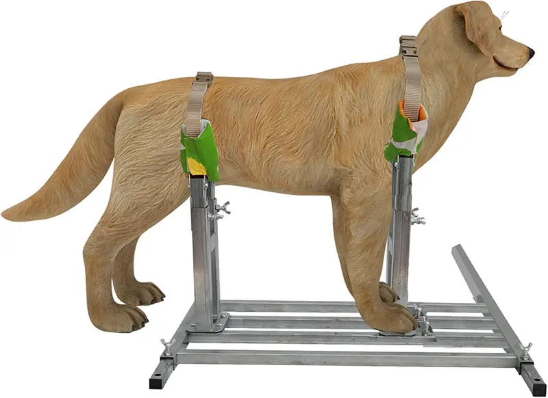 Stainless Steel Dog Breeding Stand – Fully Adjustable Height And Length Mount For Controlled Mating And Veterinary Care 1