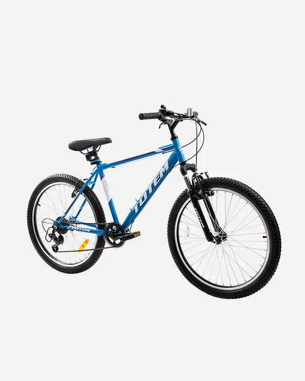 Totem 24-Inch Steel Kids' Bicycle – Blue And White Design 1