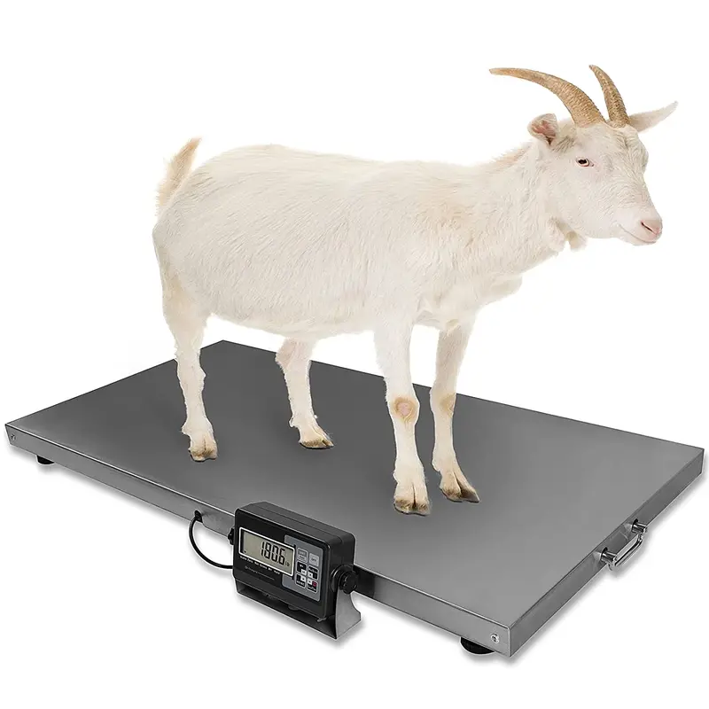 Veterinary Animal Weighing Scale – Stainless Steel Platform (44" X 22"), 700Lb X 0.2Lb Resolution 1