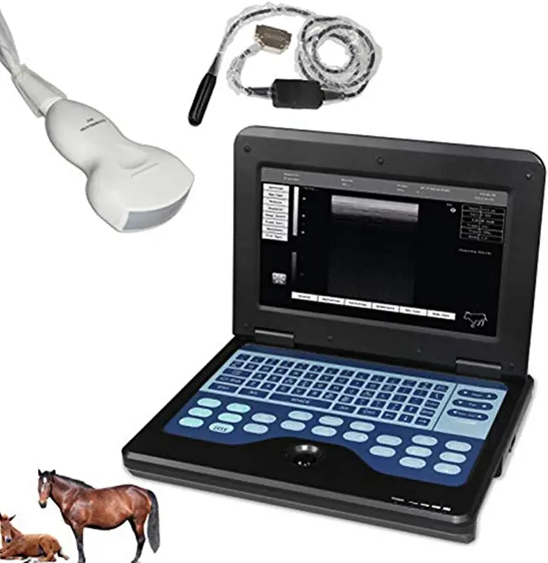 Veterinary Portable B-Mode Ultrasound Scanner – Dual Probe (Convex + Rectal) 1